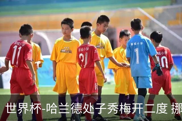 世界杯-哈兰德处子秀梅开二度 挪威半场暂2-1伊拉克